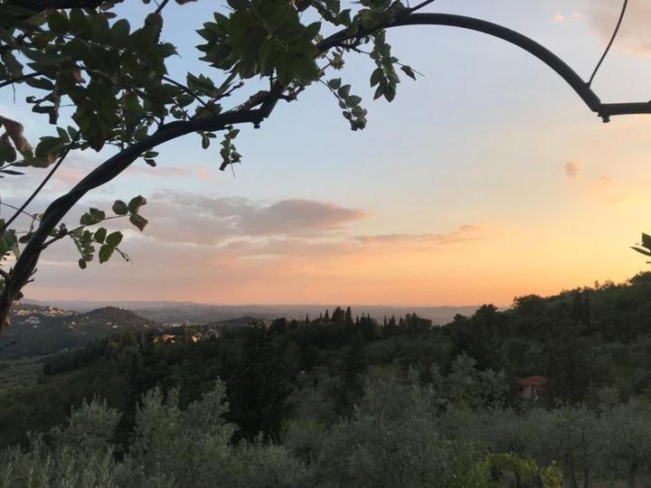 Bed Breakfast La Paggeria Trespiano エクステリア 写真
