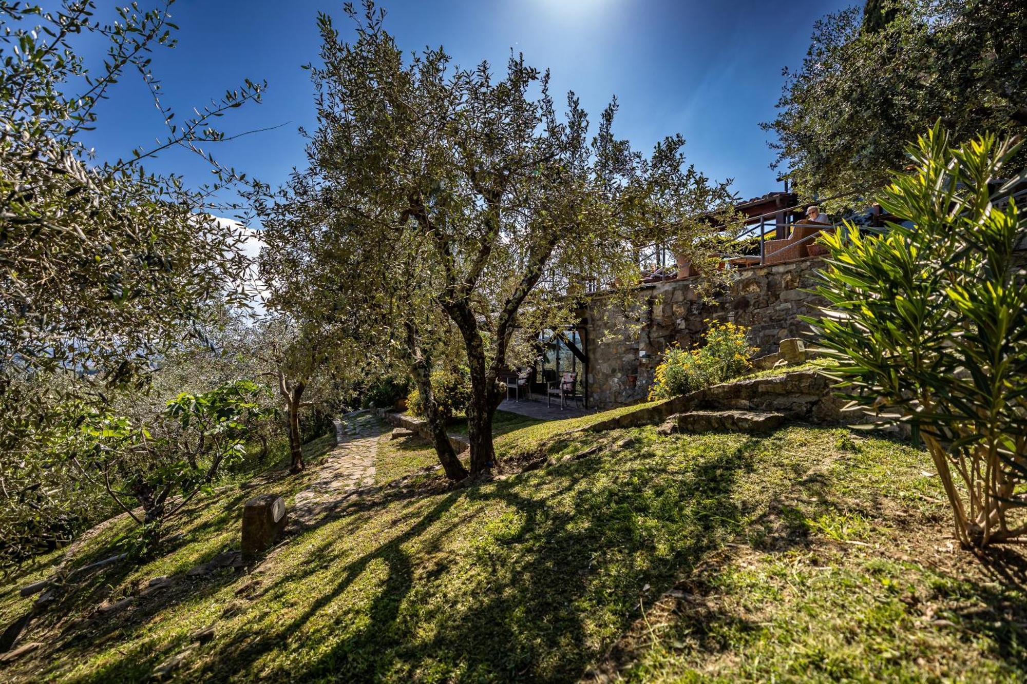 Bed Breakfast La Paggeria Trespiano エクステリア 写真
