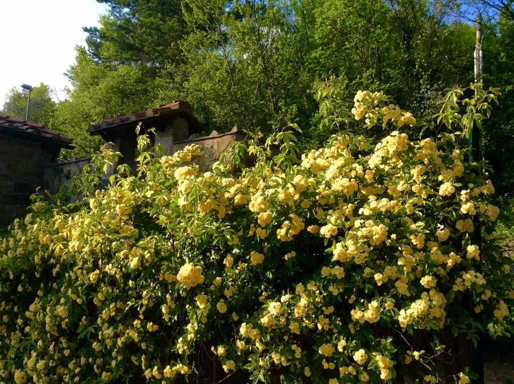Bed Breakfast La Paggeria Trespiano エクステリア 写真